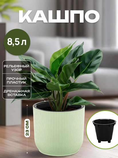 Кашпо