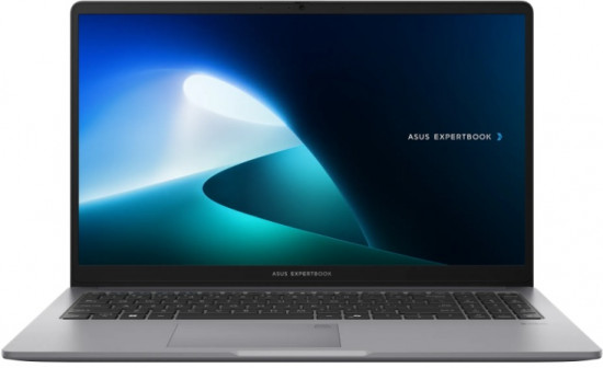 Ноутбук ExpertBook P15 90NX0881-M00YJ0