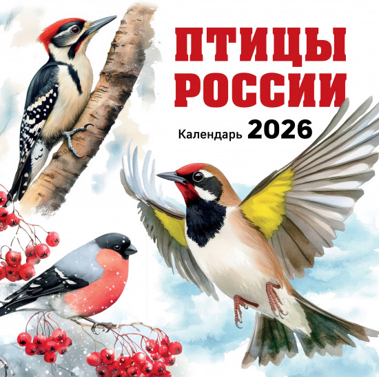 Календарь настенный на 2026 год «Птицы России»