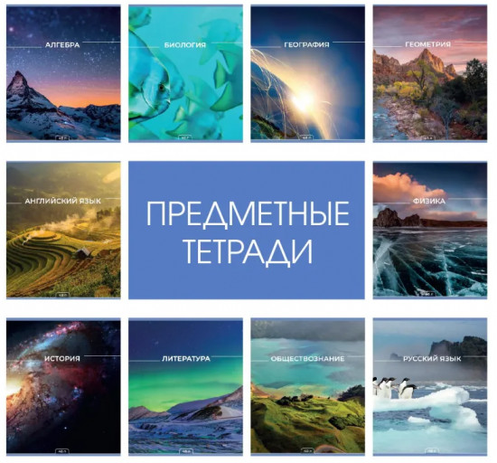Комплект тетрадей предметных