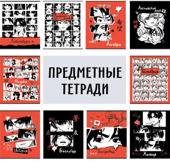 Комплект тетрадей предметных