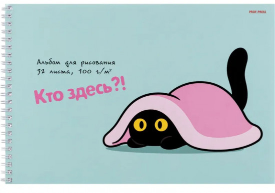 Альбом для рисования «Котик под пледом»