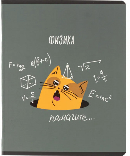 Тетрадь предметная «Котики»