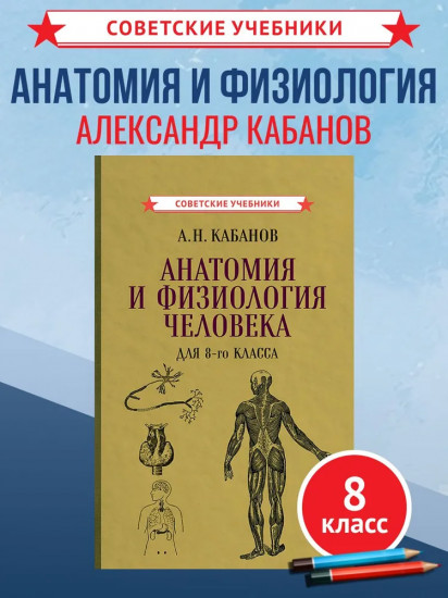 Учебник анатомии и физиологии человека для 8-го класса. 1954 год