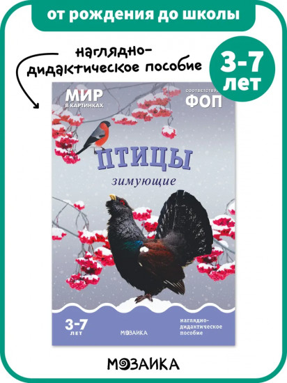 Птицы зимующие