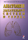 Анатомия дыхательной системы и сердца