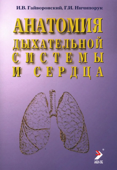 Анатомия дыхательной системы и сердца