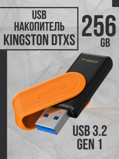 Флеш-накопитель Kingston DTXS/256GB