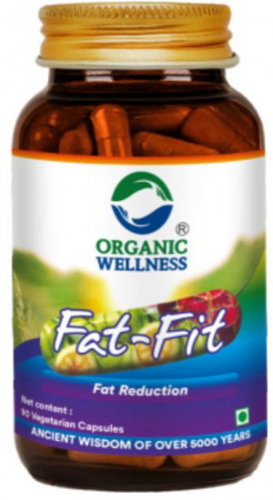 Капсулы «Fat Fit»