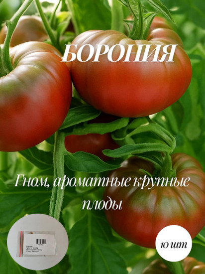 Коллекционные семена томата «Борония»