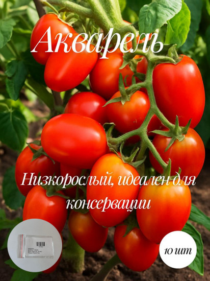 Коллекционные семена томата «Акварель»