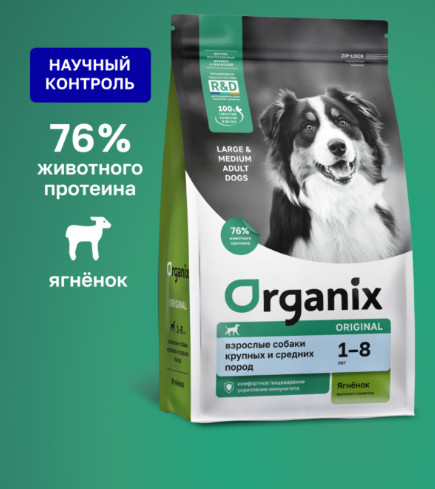 Корм для взрослых собак крупных и средних пород сухой с ягнёнком, фруктами и овощами