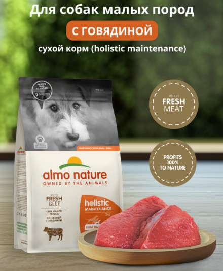 Корм для взрослых собак малых пород сухой со свежей говядиной
