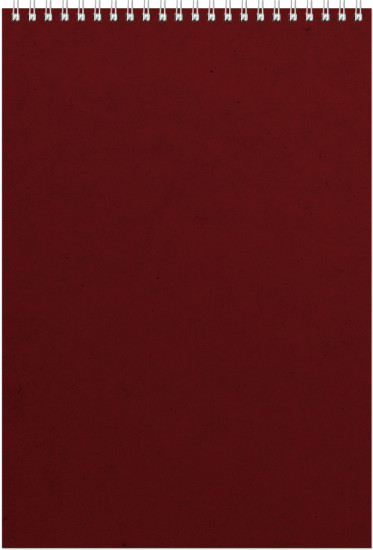 Бизнес-блокнот «Office»