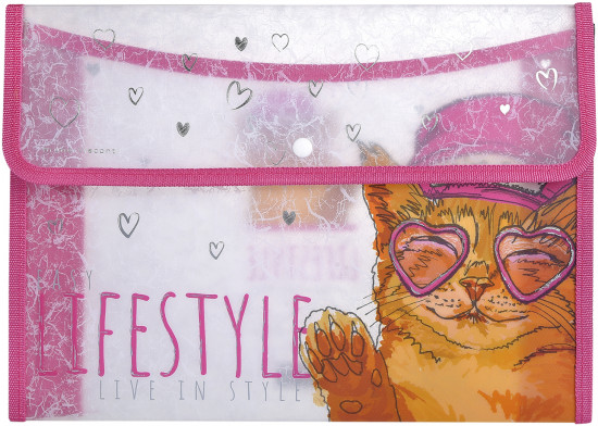 Папка-конверт на кнопке «Easy life. Mainecoon»