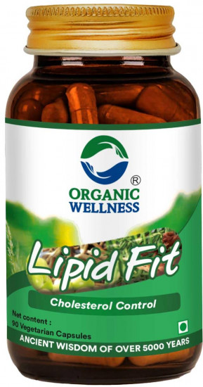 Капсулы «Lipid Fit»