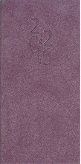 Ежедневник датированный