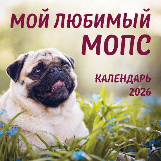 Календарь настенный на 2026 год «Мой любимый мопс»