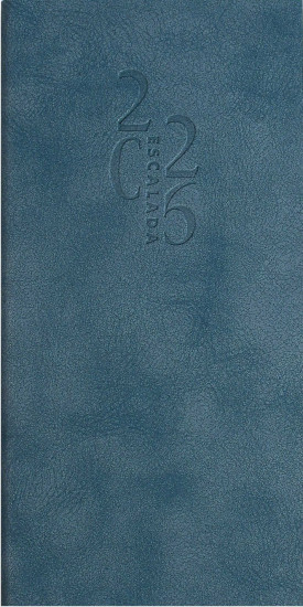 Ежедневник датированный