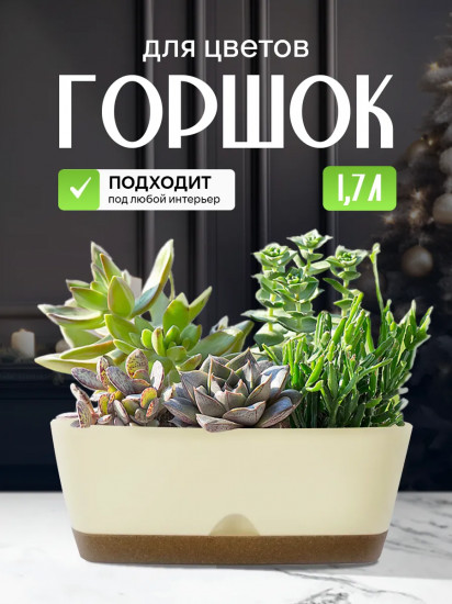 Горшок для суккулентов