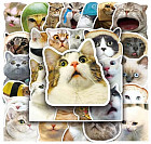 Наклейки «Мемы. Котики»