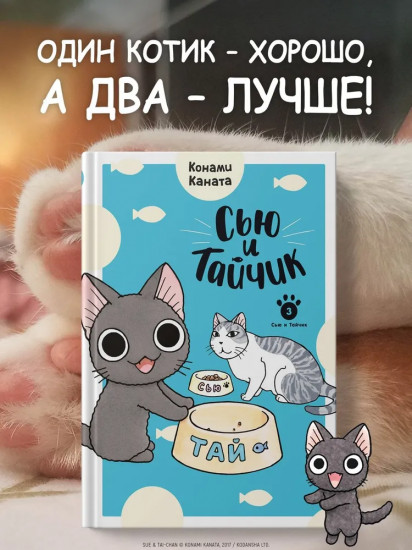 Сью и Тайчик. Книга 3