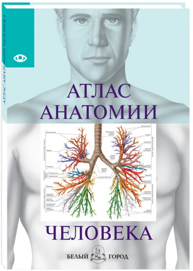 Атлас анатомии человека