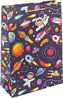 22×10×31 см