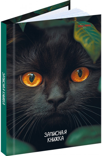 Книжка записная «Взгляд черного кота»