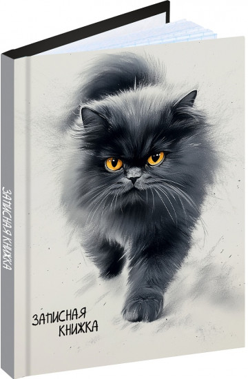 Книжка записная «Пушистый кот»