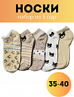 аралас 3