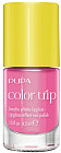 001 Frosted Fuchsia