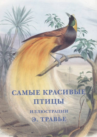 Самые красивые птицы