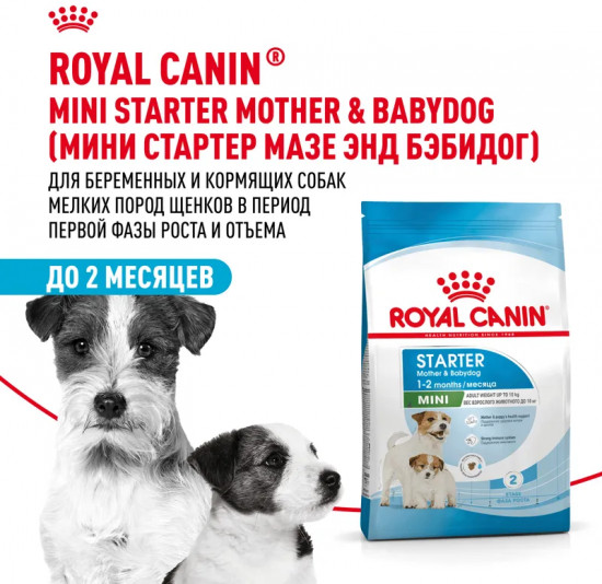 Корм сухой для беременных, кормящих собак и щенков «Mini Starter»