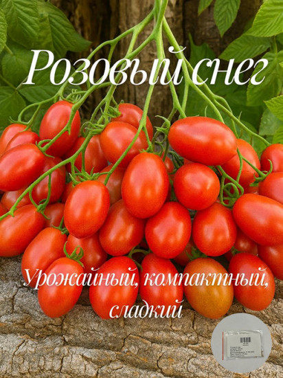 Коллекционные семена томата «Розовый снег»