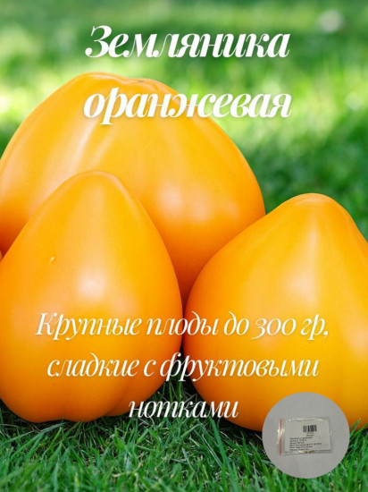 Колекционные семена томата «Земляника оранжевая»