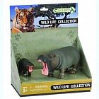 Гиппопотам и детеныш