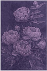 100×150 см
