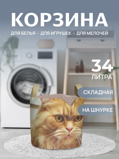 Корзина для белья «Возмущённый кот»