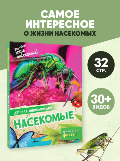 Насекомые