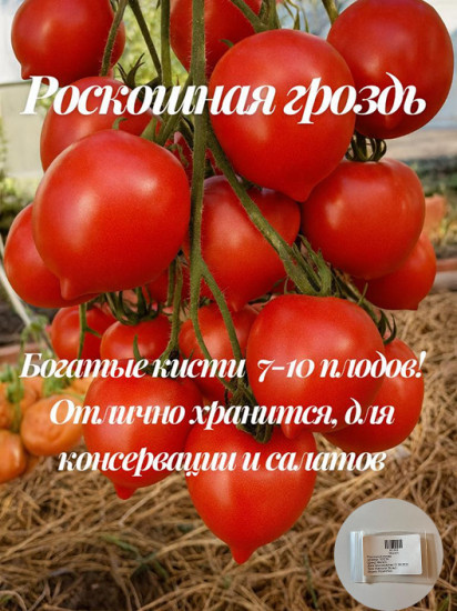 Колекционные семена томата «Роскошная гроздь»