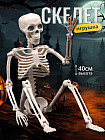 Фигурка декоративная «Скелет человека»
