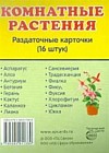 Раздаточные карточки "Комнатные растения" 63х87 мм