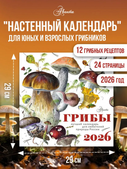 Календарь настенный на 2026 год «Грибы»