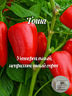 Колекционные семена перца «Тоша»