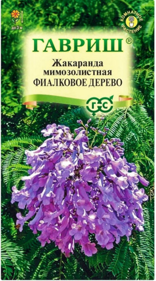 Семена «Жакаранда мимозолистная Фиалковое Дерево»