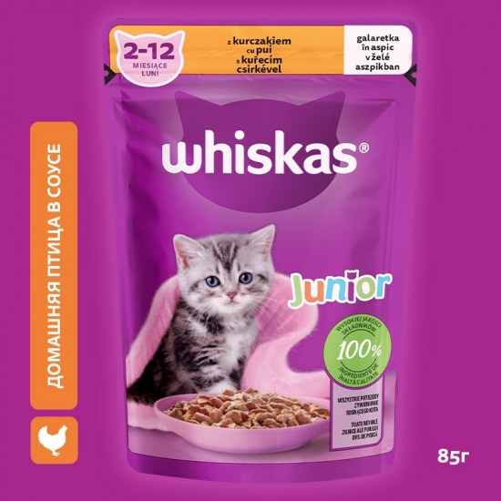 Корм влажный для котят «Желе с курицей»