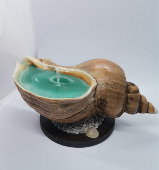 Свеча в натуральной ракушке