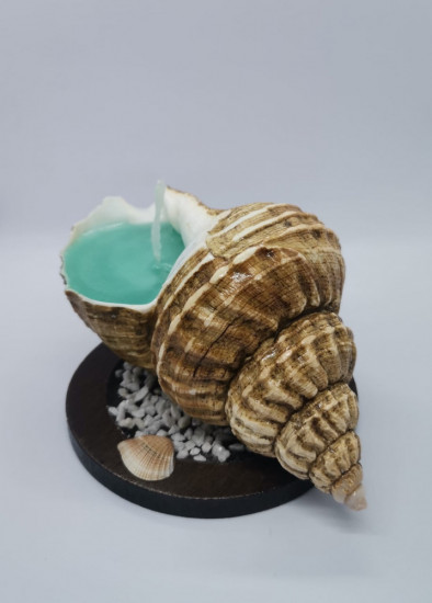 Свеча в натуральной ракушке
