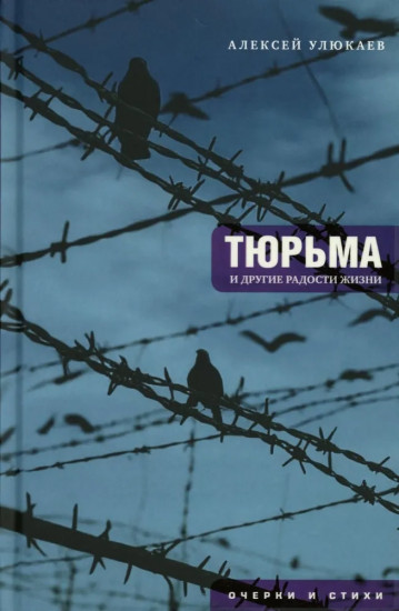 Тюрьма и другие радости жизни. Очерки и стихи